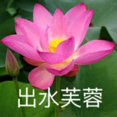 中国人的故事｜劳动节，致敬每个以奋斗创造美好未来的你